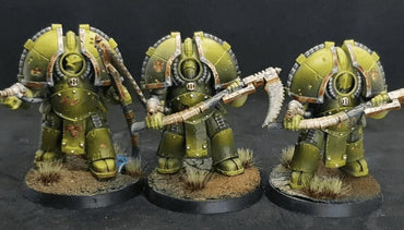 Blight Shroud Terminator Bodyguard Squad