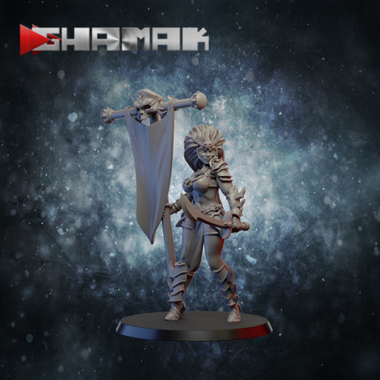 Dark Elf Standard Bearer - Ghamak