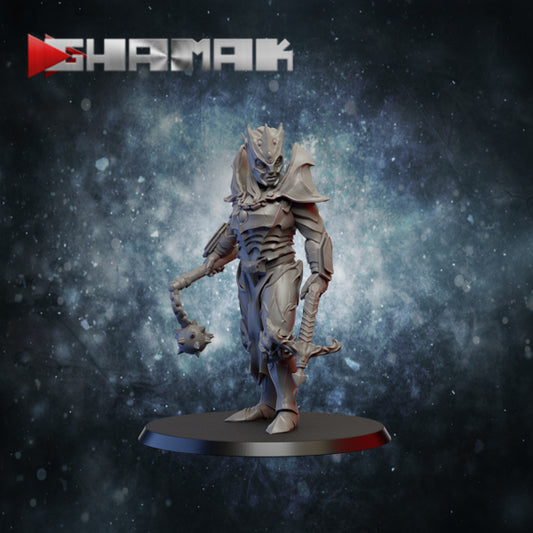 Dark Elf Scourge - Ghamak