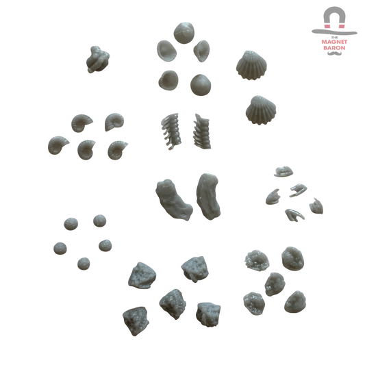 Coral Decorations